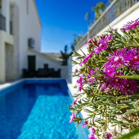 My Dalmatia - Castelo Coza With Private Pool Villa